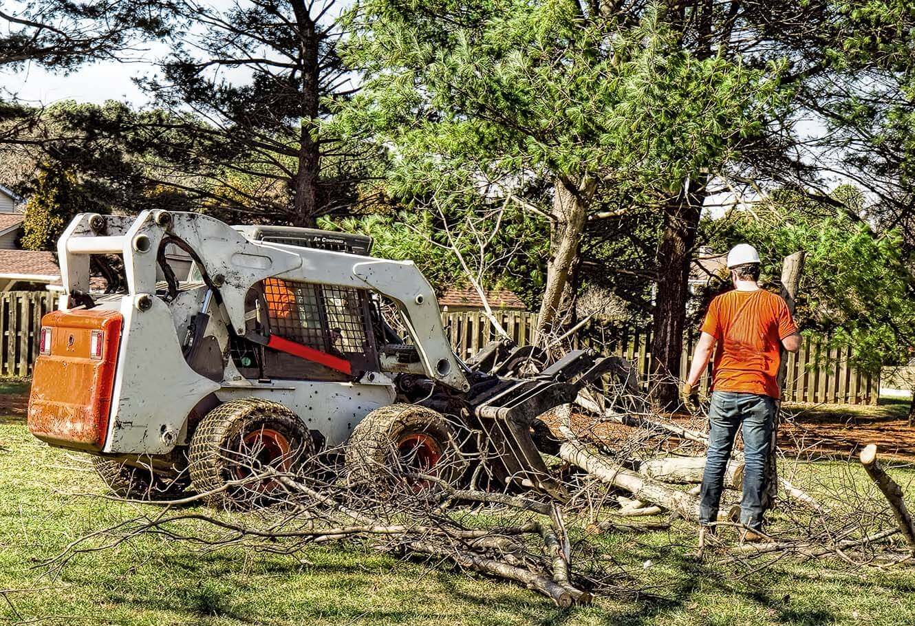 Skid Steer with grapple attachment clearing tree branches