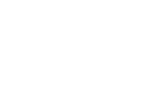 Skid Steers for Sale
